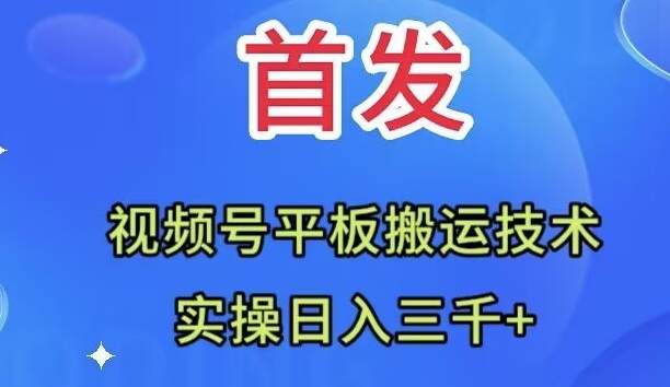 (7843期)全网首发:视频号平板搬运技术,实操日入三千+ (7843期)全网首发:视频号平板搬运技术,实操日入三千+