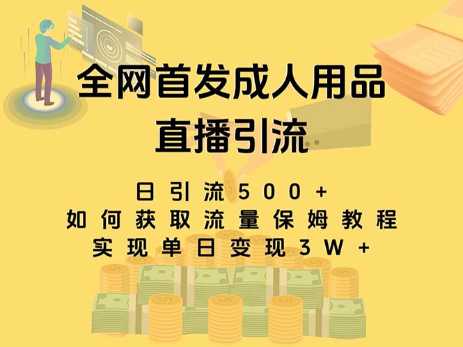 (8193期)最新全网独创首发,成人用品直播引流获客暴力玩法,单日变现3w保姆级教程 (8193期)最新全网独创首发,成人用品直播引流获客暴力玩法,单日变现3w保姆级教程