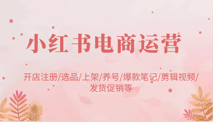 小红书电商运营:开店注册/选品/上架/养号/爆款笔记/剪辑视频/发货促销等 小红书电商运营:开店注册/选品/上架/养号/爆款笔记/剪辑视频/发货促销等